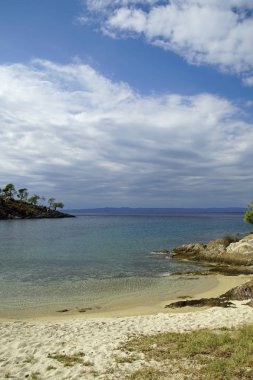 Eğlence için. Sithonia 'daki Ege Denizi' nin çam ağaçlarının arasından bak. Yunanistan. Eylülde güneşli sıcak bir gün. Parlak renkler ve doğanın inanılmaz güzelliği..                               