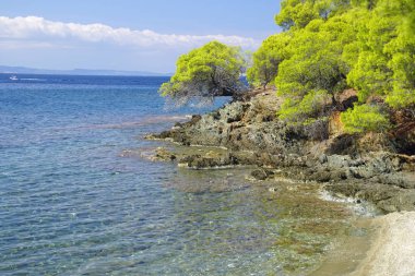           Rekreasyon. Sithonia'da Ege Denizi'nin çam ağaçlarının arasından manzara. Yunanistan. Eylül ayında sıcak güneşli bir gün.                      