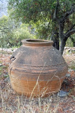    Bahçede dekoratif bir unsur olarak eski bir kırık büyük seramik kil sürahi. Zeytin ağacının gölgesinde                           