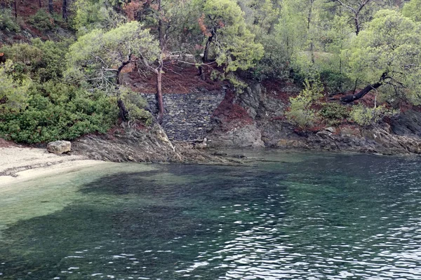 Rekreation Utsikt Genom Tallarna Egeiska Havet Sithonia Grekland Varm Solig — Stockfoto