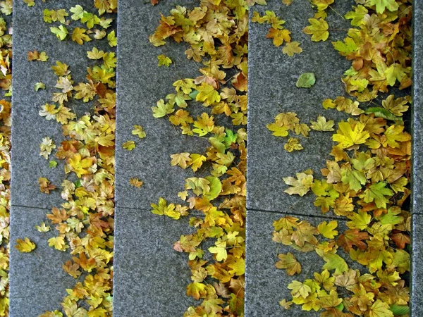 公園内の階段の花崗岩の階段のトップビュー 秋の紅葉 — ストック写真