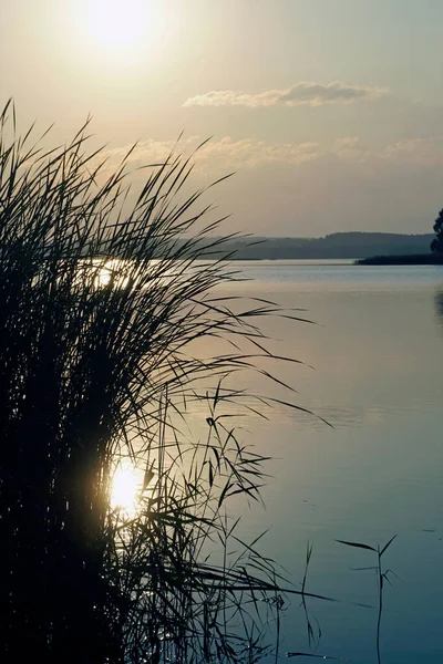 Sunset Lake Warm Summer Quiet Evening Landscape — Stock Photo, Image