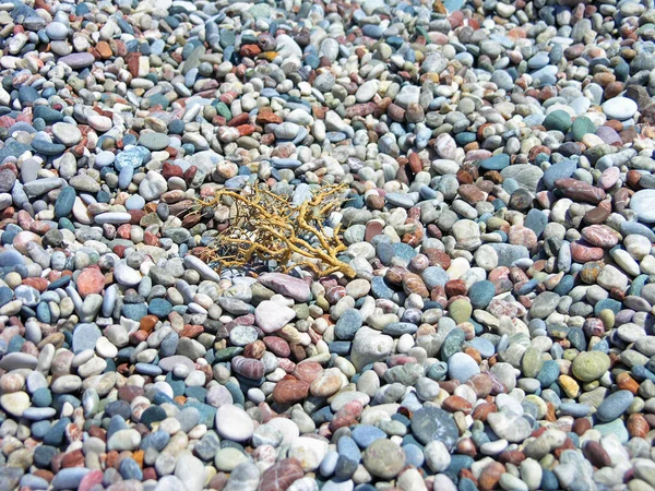 Bela Galna Praia Mediterrâneo Textura Muitas Pedras Multicoloridas — Fotografia de Stock