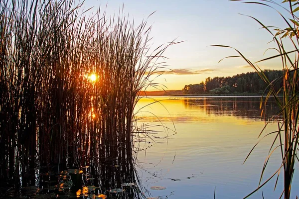 Puesta Sol Sobre Lago Cálida Noche Tranquila Verano Paisaje Nubes — Foto de Stock