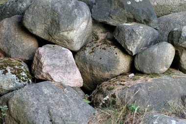      Ormanın kenarına bir sürü göçmen yığını. Kayalar. Granit. Düşen yapraklar ve iğneler                          