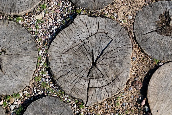 Wood path - ends of a tree trunk. Texture