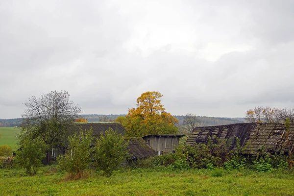 Autumn landscape. Provincial village life. An old abandoned village. View of the fields and forests. Cloudy rainy day in October