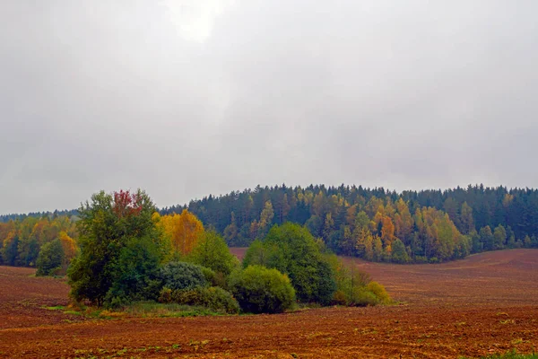 Jesienny Krajobraz Wojewódzkie Życie Wiejskie Widok Pola Lasy Deszczowy Dzień — Zdjęcie stockowe