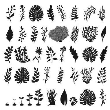 Yaprakları siluetleri kümesi. Vektör çizim. Beyaz arka plan üzerinde izole.