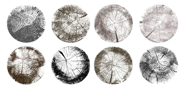一组树环 黑色和灰色的木材纹理的波浪环图案从一片树 灰度木桩 矢量插图 在白色背景上隔离 — 图库矢量图片