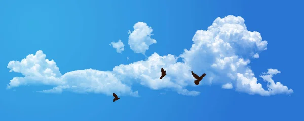 Fond Avec Nuages Sur Ciel Bleu Illustration Réaliste Vecteur Ciel — Image vectorielle