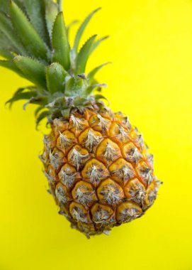 Ananas bütün tropikal meyve yaprakları sarı zemin üzerine doğal organik gıda ile