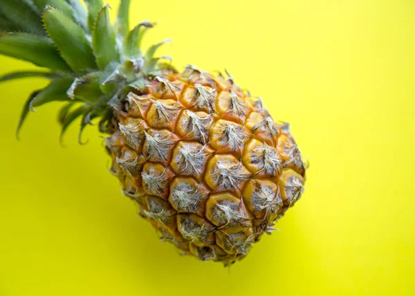 Ananas bütün tropikal meyve yaprakları sarı zemin üzerine doğal organik gıda ile 