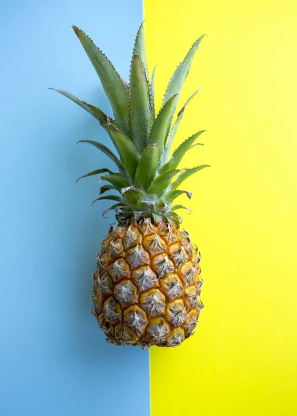 Ananas bütün tropikal MEYVELERLE yaprakları doğal organik gıda mavi sarı zemin üzerine