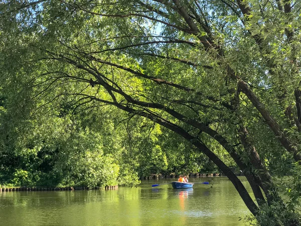 Yeşil yaz Parkı. Vorontsovsky Park Moskova Rusya.
