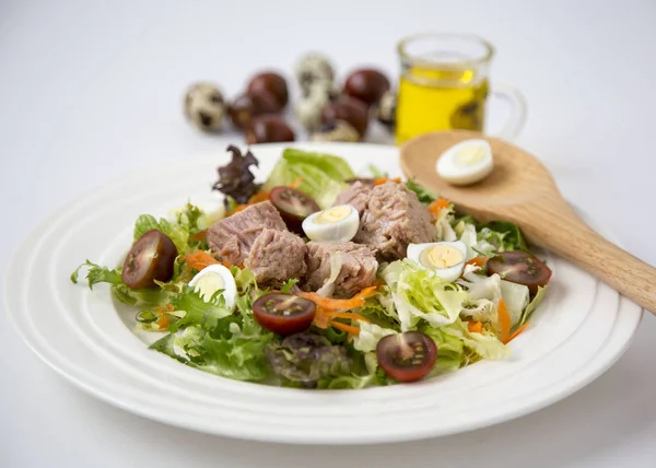 Beyaz masa arka plan doğal ışık seçici odak üzerinde yaşam için sağlıklı gıda sebze taze ve hafif Tuna et salatası marul, yumurta ve domates doğranmış