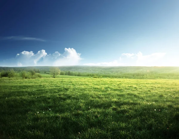 Våren Solnedgång Och Fält Med Gräs — Stockfoto