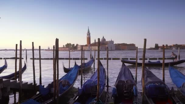 Markusplatz Venedig Italien — Stockvideo