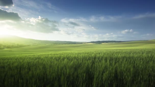 Atardecer Primavera Toscana Italia — Vídeo de stock