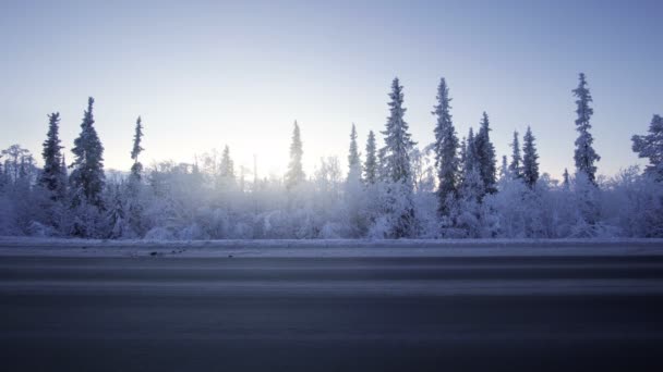 Autoleuchten Winterwald — Stockvideo