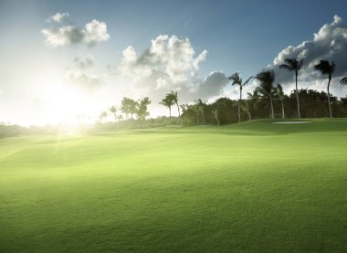 bahar çimen, golf alanı