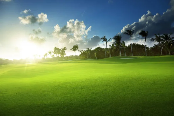 bahar çimen, golf alanı