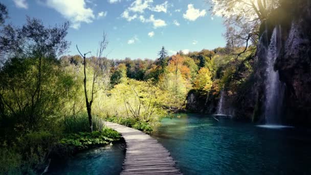 Vattenfall Atumn Skog Plitvice Kroatien — Stockvideo