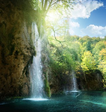 Ormanda Şelale, Plitvice, Hırvatistan