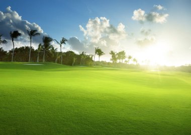 bahar çimen, golf alanı