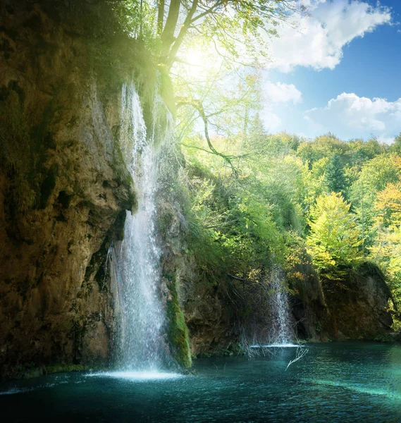 Cachoeira Floresta Plitvice Croácia — Fotografia de Stock
