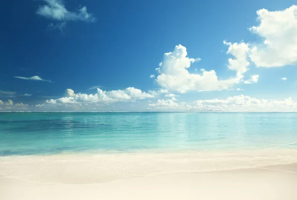 Tropischer Strand Dominikanische Republik — Stockfoto