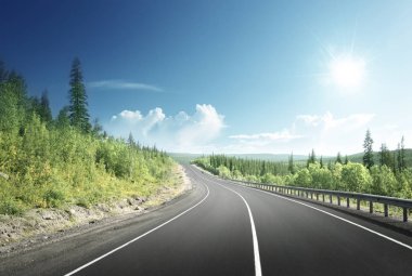 Kuzey dağ orman yol
