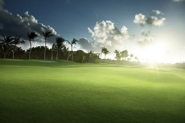 Frühlingsgras Golfplatz — Stockfoto