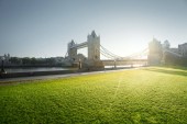 travnatý a věžový most za slunečného rána Londýn, Velká Británie