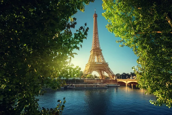 Seine Paris Eiffel Tower — Stock Photo, Image