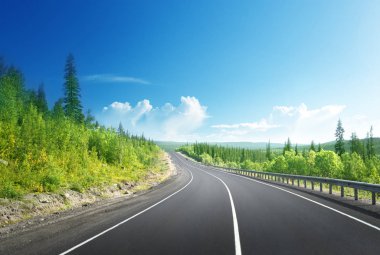 Kuzey dağ orman yol