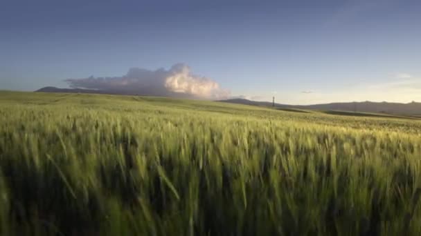 Răsărit și apus de soare în Toscana, Italia — Videoclip de stoc