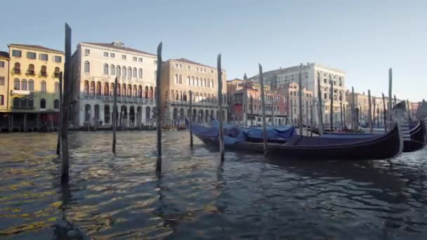 Гондолы в Венеции, Италия. — стоковое видео