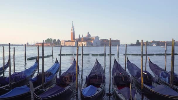 Place San Marco, Venise, Italie — Video