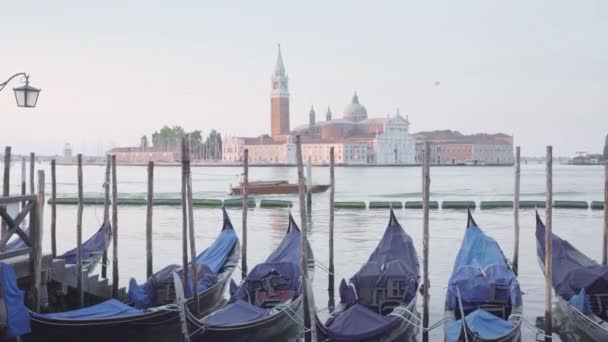 Plaza San Marco, Venecia, Italia — Vídeo de stock