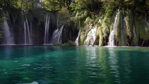 Vízesés az erdőben Plitvicei-tavak Nemzeti Park, Horvátország — Stock videók