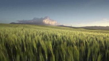 Bahar günbatımı Toskana, İtalya