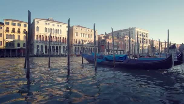 Góndolas en Venecia, Italia, hora de la puesta del sol — Vídeo de stock