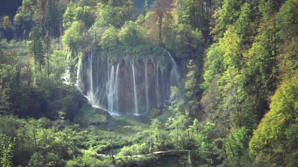 Vodopád v lese, Plitvice, Chorvatsko — Stock video