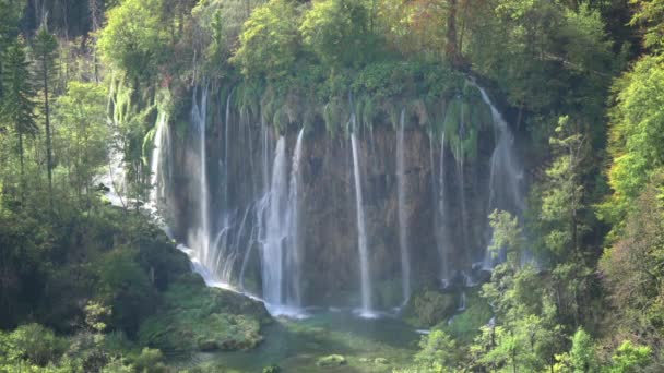 Vodopád v lese, Plitvice, Chorvatsko — Stock video