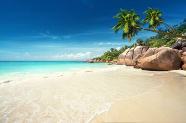 Anse Lazio Plajı Praslin Adası, Seyşeller