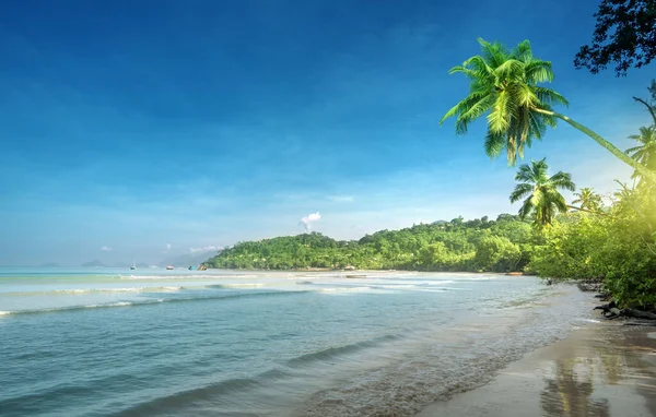 Playa Atardecer Isla Mahe Seychelles — Foto de Stock