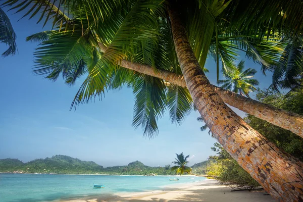 Naplemente Strandon Mahe Sziget Seychelles — Stock Fotó