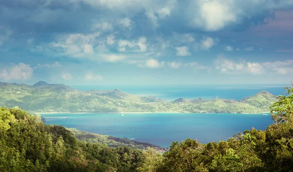 Dżungla Seszeli Wyspa Mahe — Zdjęcie stockowe
