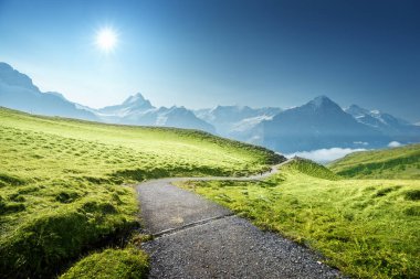 Grindelwald Vadisi Birinci Dağ 'ın tepesinden, İsviçre